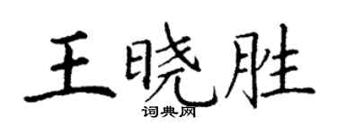 丁謙王曉勝楷書個性簽名怎么寫