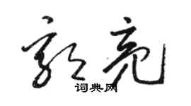 駱恆光郭亮草書個性簽名怎么寫