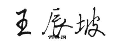 駱恆光王辰坡行書個性簽名怎么寫
