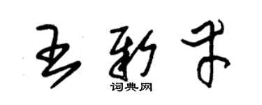 朱錫榮王新幸草書個性簽名怎么寫