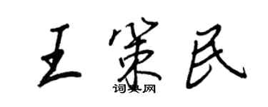 王正良王策民行書個性簽名怎么寫
