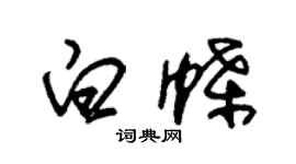 朱錫榮白蝶草書個性簽名怎么寫