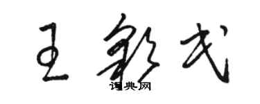 駱恆光王彩民草書個性簽名怎么寫