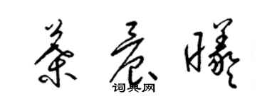 梁錦英葉晨曦草書個性簽名怎么寫