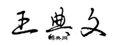 曾慶福王典文草書個性簽名怎么寫