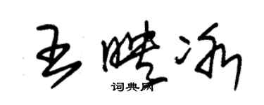 朱錫榮王映冰草書個性簽名怎么寫