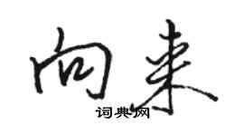 駱恆光向來行書個性簽名怎么寫