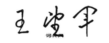 駱恆光王望軍草書個性簽名怎么寫