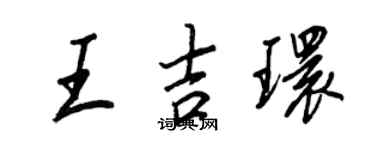 王正良王吉環行書個性簽名怎么寫