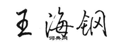 駱恆光王海鋼行書個性簽名怎么寫