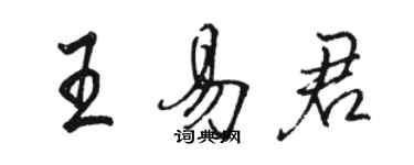 駱恆光王易君行書個性簽名怎么寫