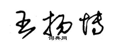 朱錫榮王揚博草書個性簽名怎么寫
