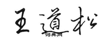 駱恆光王道松行書個性簽名怎么寫