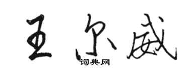 駱恆光王爾威行書個性簽名怎么寫