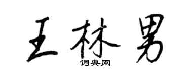王正良王林男行書個性簽名怎么寫