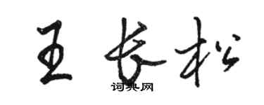 駱恆光王長松行書個性簽名怎么寫