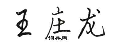 駱恆光王莊龍行書個性簽名怎么寫
