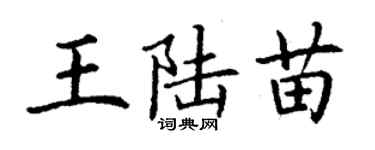 丁謙王陸苗楷書個性簽名怎么寫