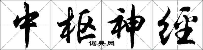 胡問遂中樞神經行書怎么寫