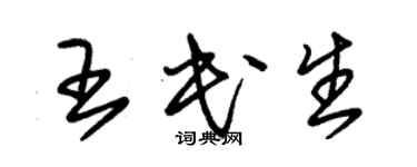 朱錫榮王民生草書個性簽名怎么寫