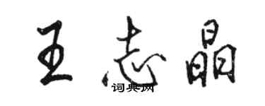 駱恆光王志晶行書個性簽名怎么寫