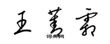 梁錦英王菁霜草書個性簽名怎么寫