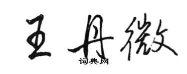 駱恆光王丹微行書個性簽名怎么寫