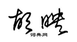 朱錫榮胡映草書個性簽名怎么寫