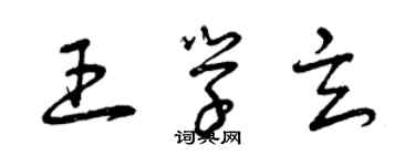 曾慶福王學玄草書個性簽名怎么寫