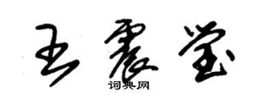 朱錫榮王震瑩草書個性簽名怎么寫