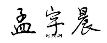 曾慶福孟宇晨行書個性簽名怎么寫