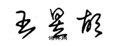 朱錫榮王昱胡草書個性簽名怎么寫