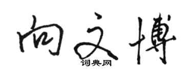 駱恆光向文博行書個性簽名怎么寫