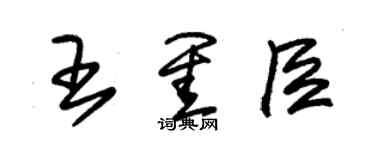 朱錫榮王閨臣草書個性簽名怎么寫