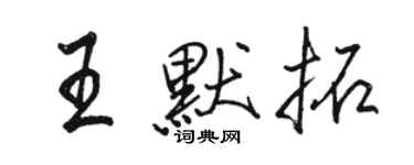 駱恆光王默拓行書個性簽名怎么寫
