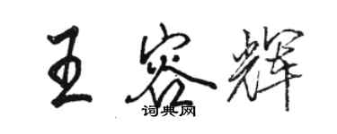 駱恆光王容輝行書個性簽名怎么寫