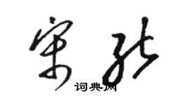 駱恆光宋能草書個性簽名怎么寫