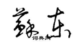 曾慶福蘇東草書個性簽名怎么寫