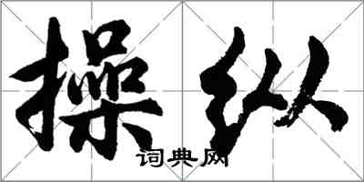 胡問遂操縱行書怎么寫