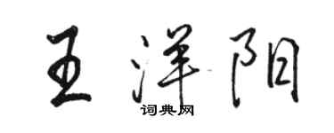 駱恆光王洋陽行書個性簽名怎么寫
