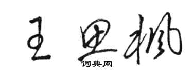 駱恆光王思楓草書個性簽名怎么寫