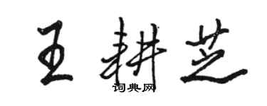 駱恆光王耕芝行書個性簽名怎么寫