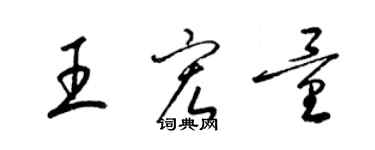 梁錦英王宏量草書個性簽名怎么寫