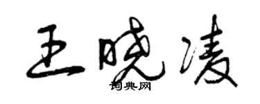 曾慶福王曉凌草書個性簽名怎么寫