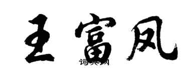 胡問遂王富鳳行書個性簽名怎么寫