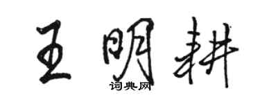 駱恆光王明耕行書個性簽名怎么寫