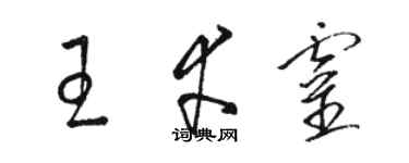 駱恆光王幸靈草書個性簽名怎么寫