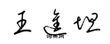 梁錦英王進坦草書個性簽名怎么寫