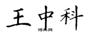 丁謙王中科楷書個性簽名怎么寫