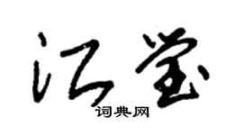 朱錫榮江瑩草書個性簽名怎么寫